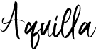 preview image of the Aquilla font