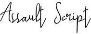 preview image of the Assault Script font