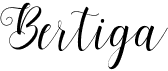 preview image of the Bertiga font