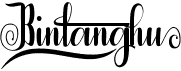 preview image of the Bintanghu font