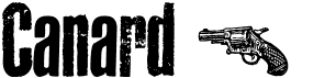preview image of the Canard font