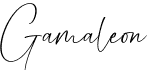 preview image of the Gamaleon font