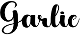 preview image of the Garlic font