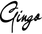 preview image of the Gingo font