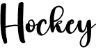 preview image of the Hockey font