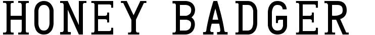 preview image of the Honey Badger font
