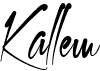 preview image of the Kallem font