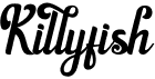 preview image of the Killyfish font