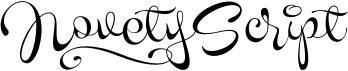 preview image of the Novety Script font
