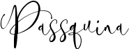 preview image of the Passquina font