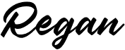 preview image of the Regan font