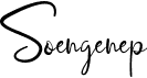 preview image of the Soengenep font