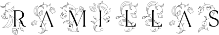 preview image of the TT Ramillas Initials font