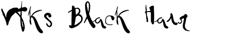 preview image of the Vtks Black Hair font
